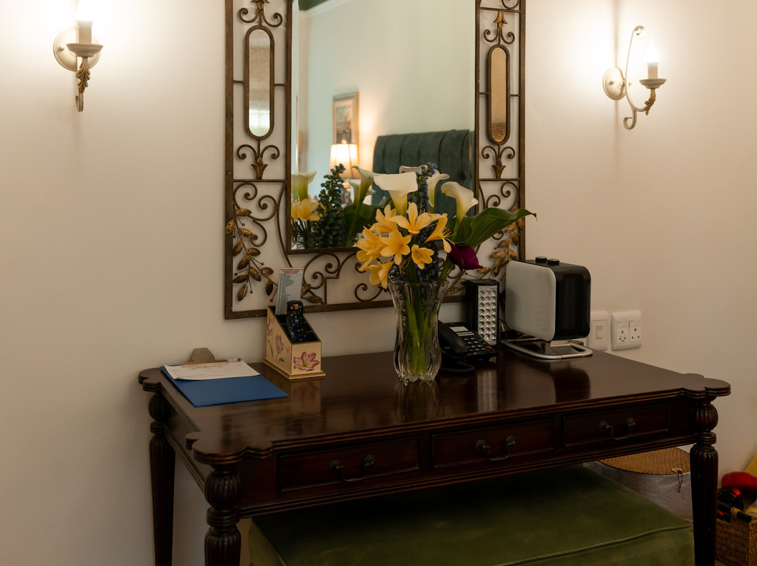 Lemon Tree Lane主图