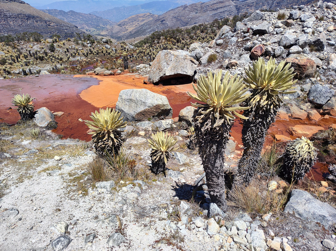 El Cocuy National Natural Park景点图片