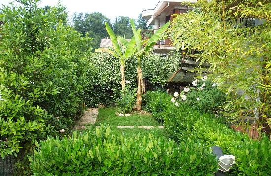 Nautilus Bed & Breakfast主图