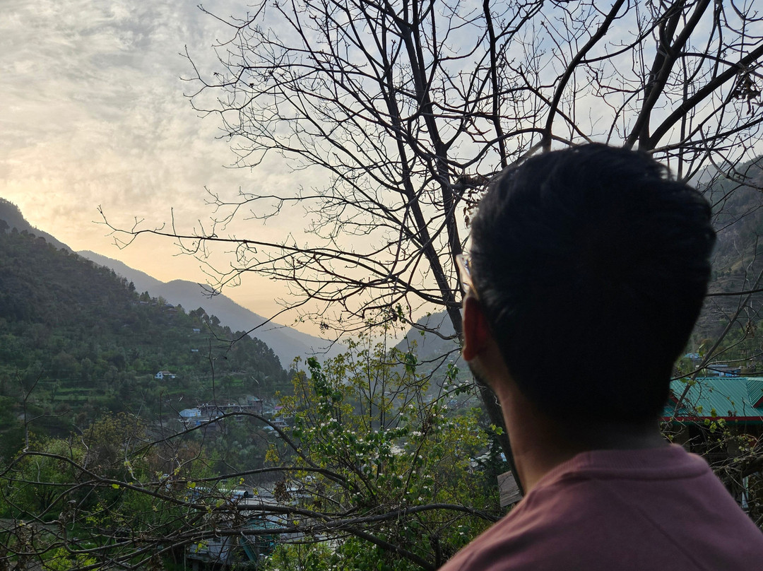 Doris Mountain Cabins主图