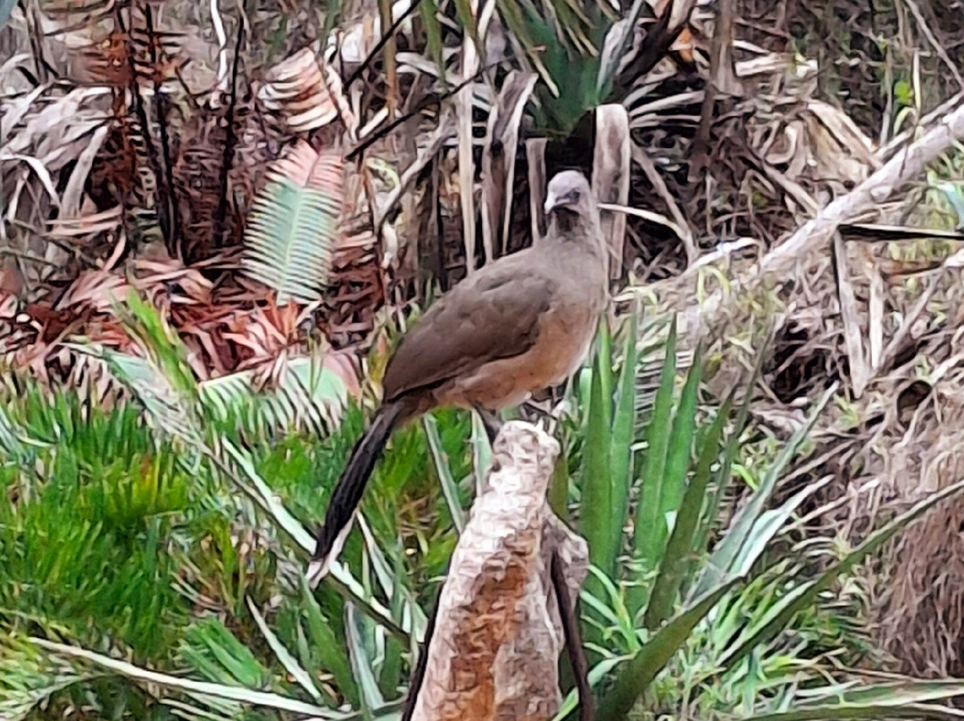 Quinta Mazatlan-麦卡伦必去景点