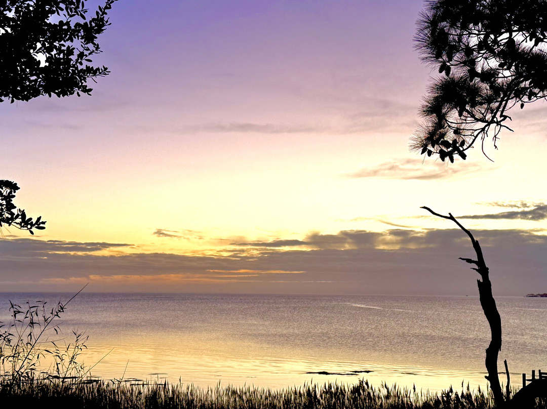 Cypress Moon Inn主图