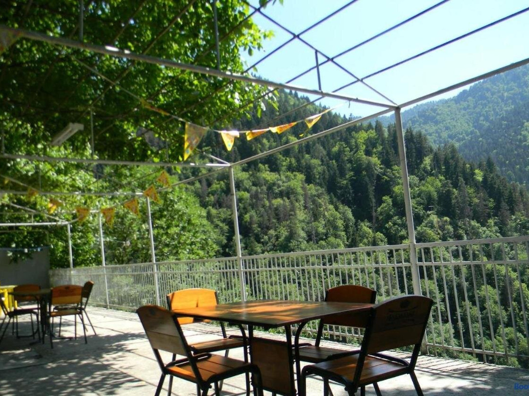 Hotel Villa Borjomi
