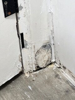 Baymont by Wyndham Daytona Beach / Intl Speedway主图