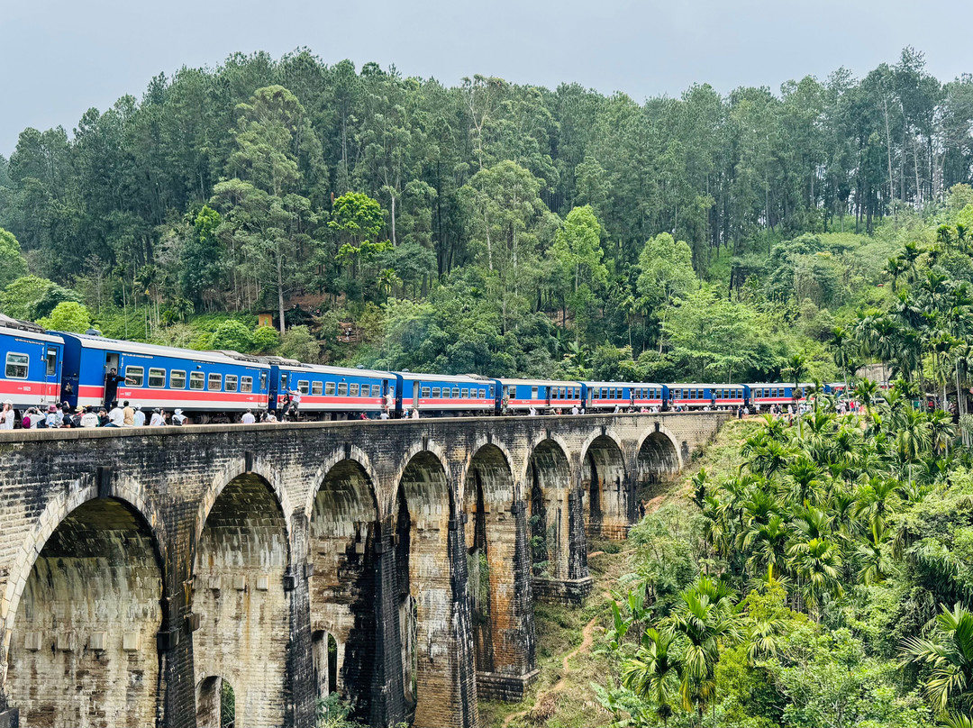 Chauffeur Sri Lanka by Dohansa Lanka Tours景点图片