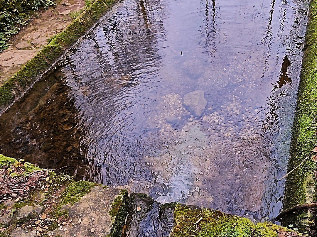 Lavoir De Trousse Chemise景点图片