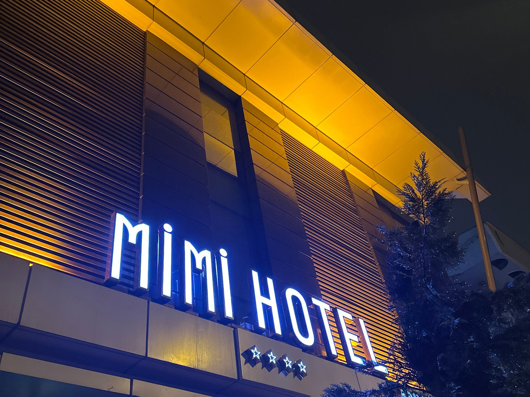 Mimi Hotel Ankara主图
