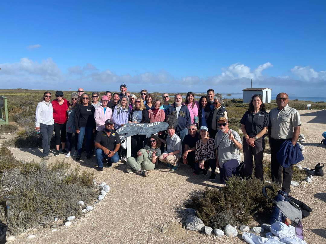 Baja Ecotours-San Ignacio必去景点