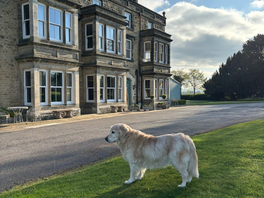 布里索普别墅酒店主图