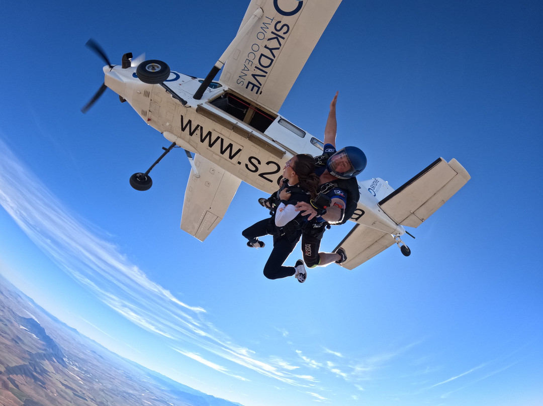 Skydive Two Oceans-惠灵顿必去景点