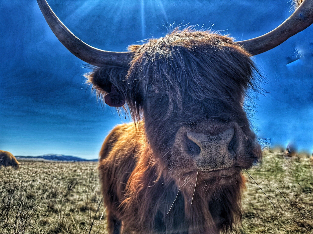 Black Hills Highlands景点图片