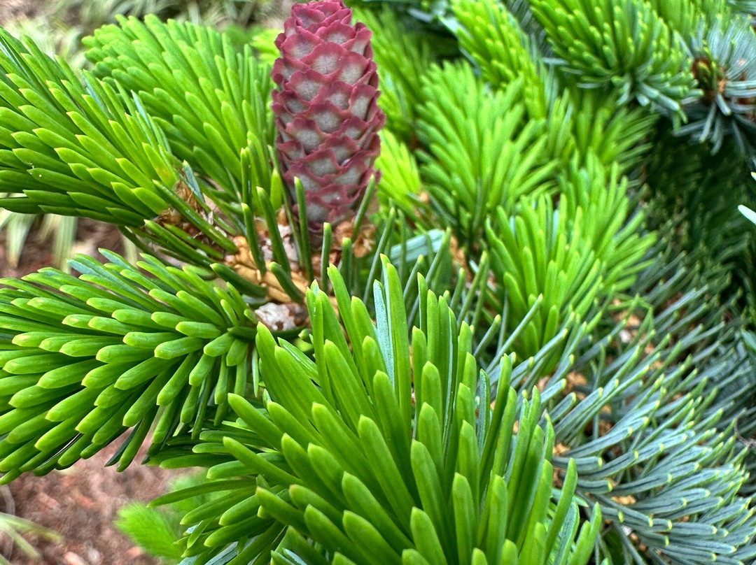 Mushroom House-辛辛那提必去景点