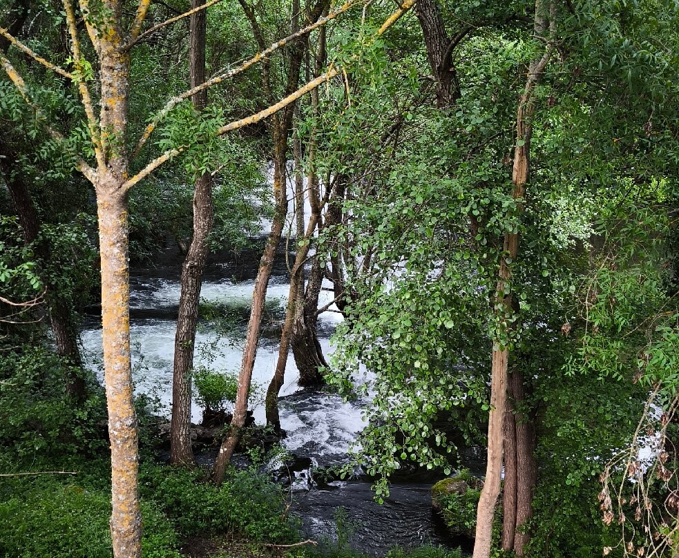 Quinta do Moinho - Turismo de Natureza主图