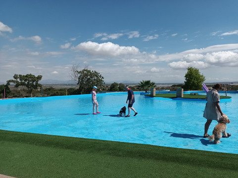 Worldog: Aquapark Canino-La Marina del Pinet必去景点