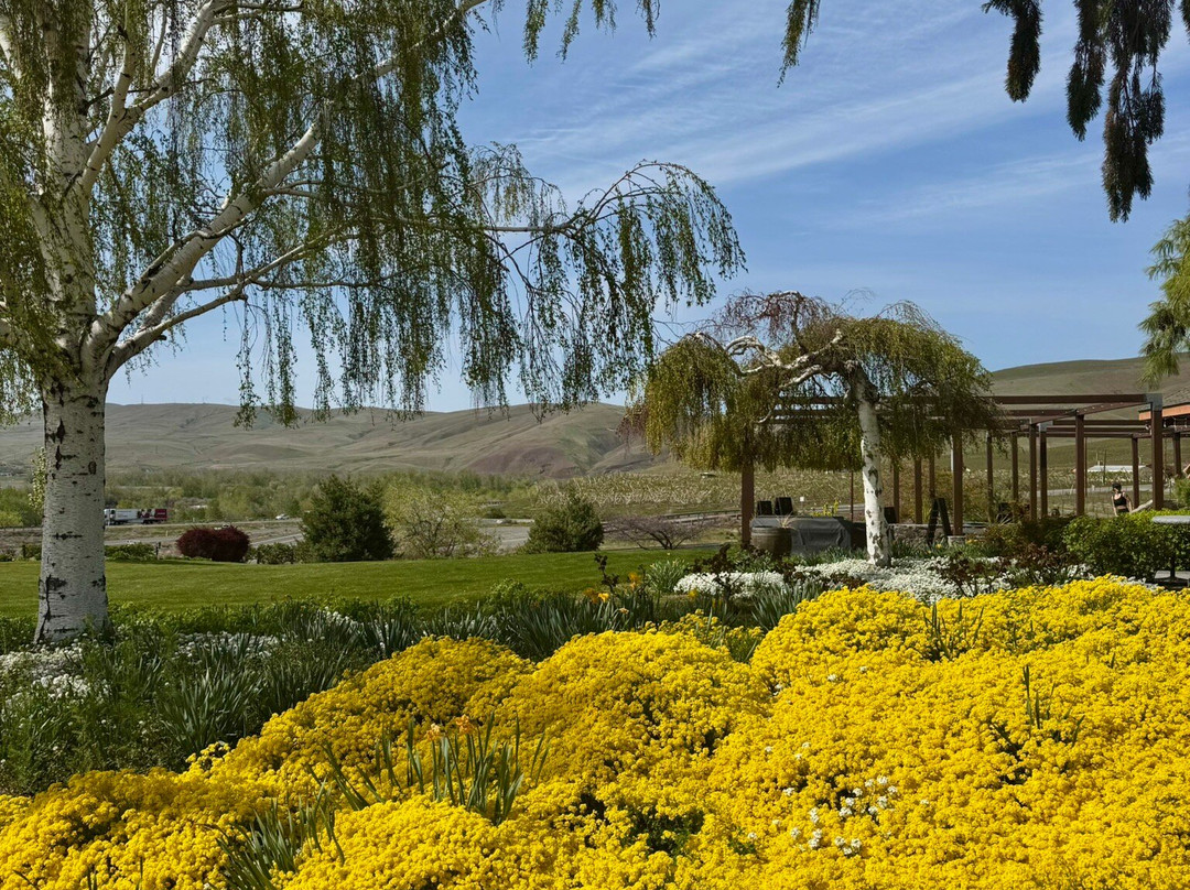 Treveri-Wapato必去景点