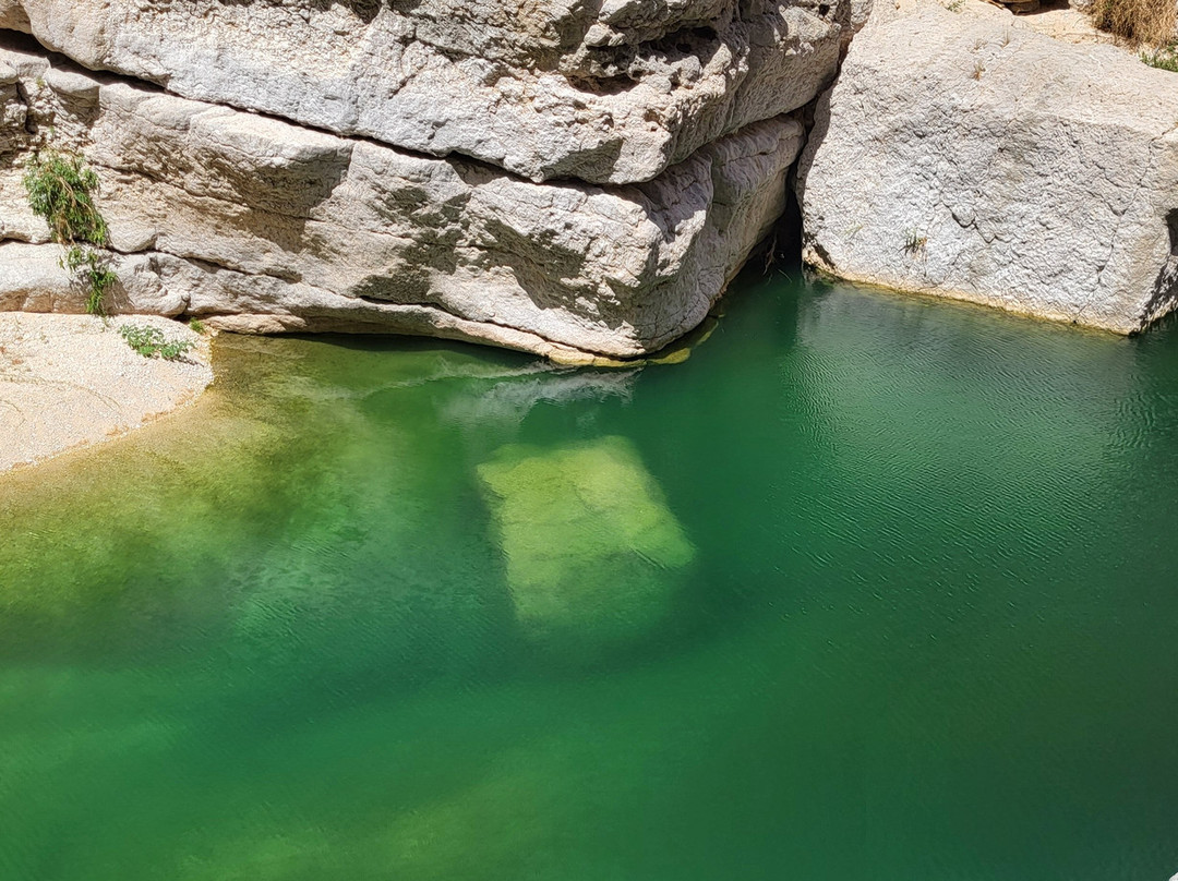 Shab Tours景点图片