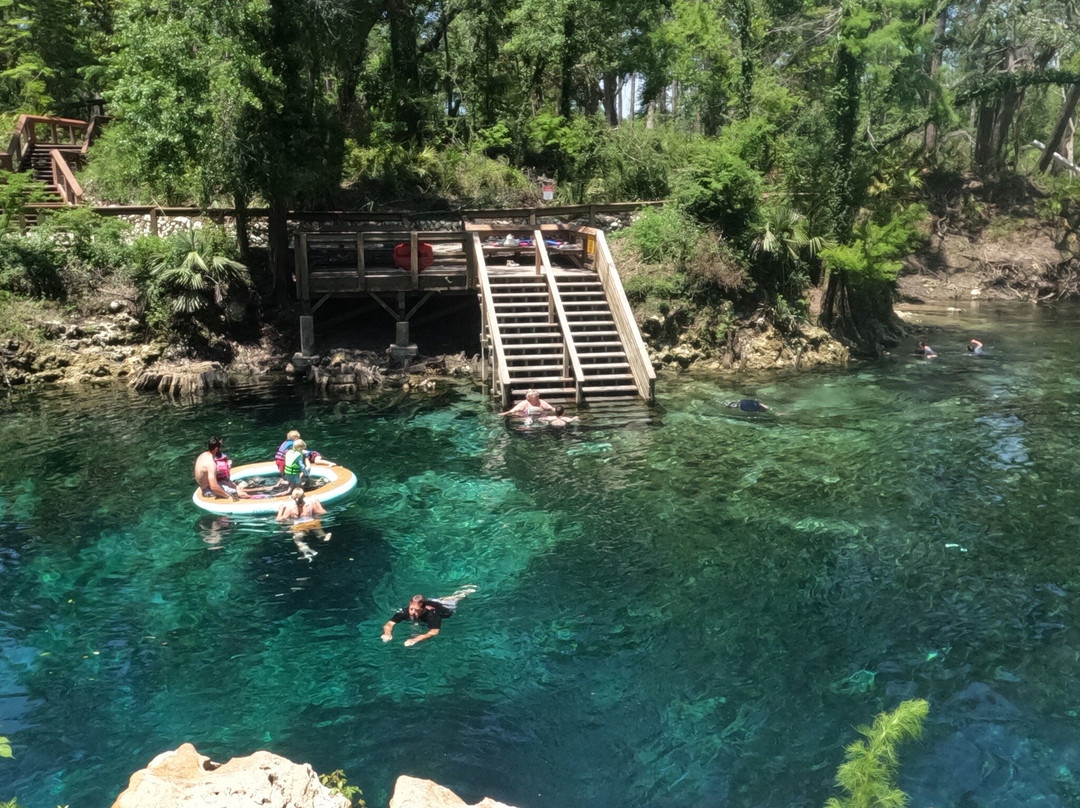 Madison Blue Springs State Park-Lee必去景点