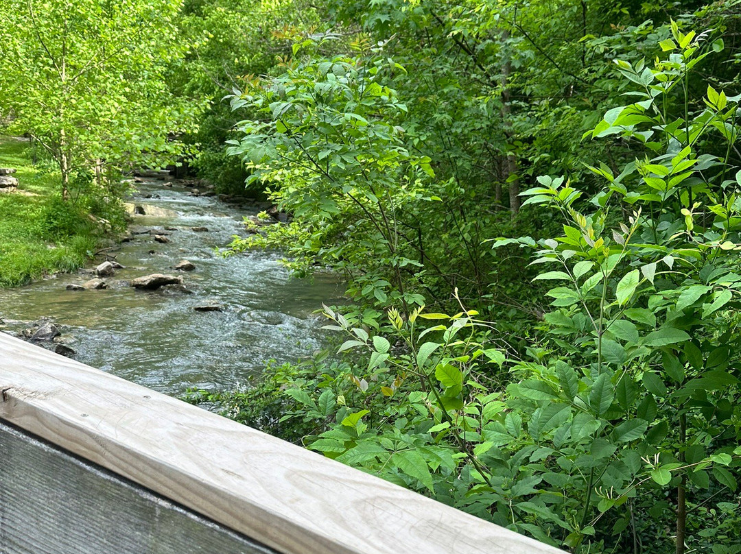 Cove Springs Park-法兰克福必去景点