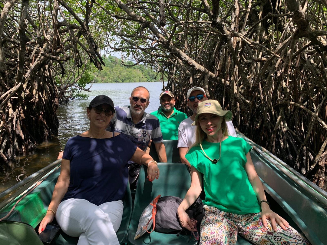 Dazzling Tours-康提必去景点