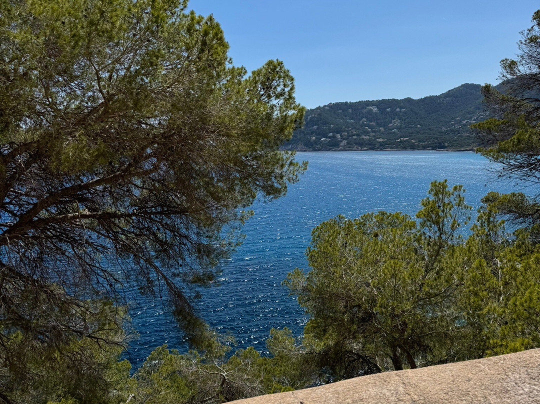 Bugs Buggy Mallorca Adventure-Cala Ratjada必去景点