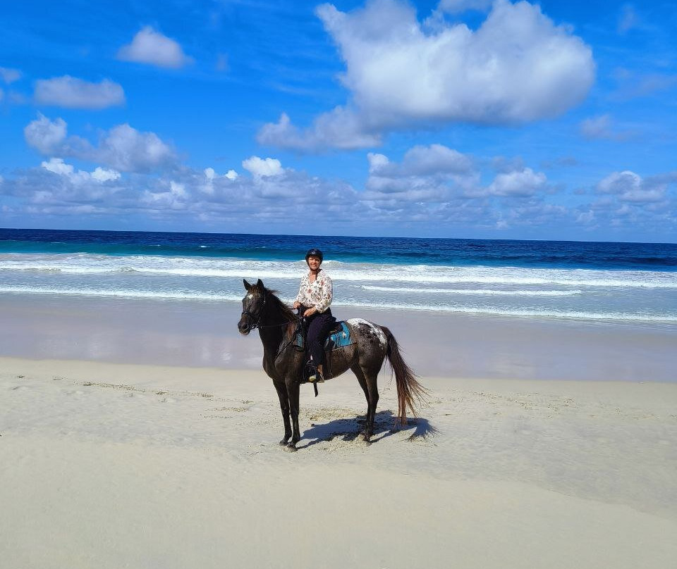 Turquoise Horse Trails-马埃岛必去景点