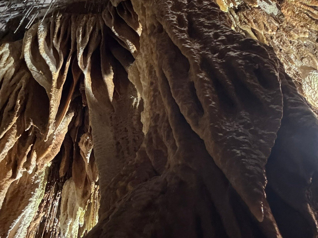 Jacob's Cave景点图片