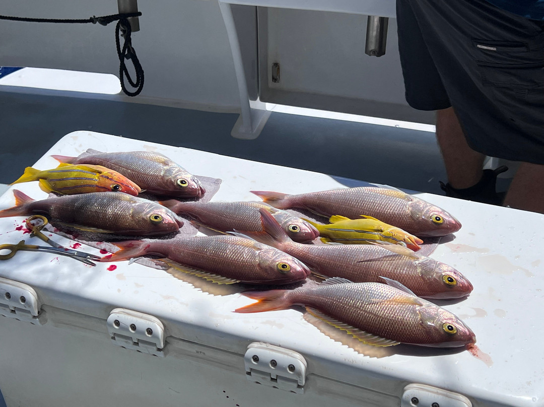 Maui Fun Charters-玛阿拉也亚必去景点
