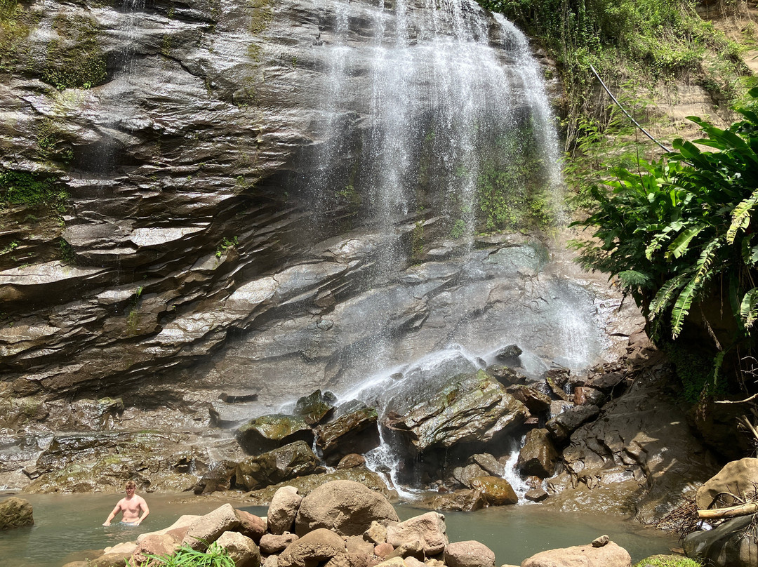 Royal Mount Carmel Falls-格林纳达必去景点