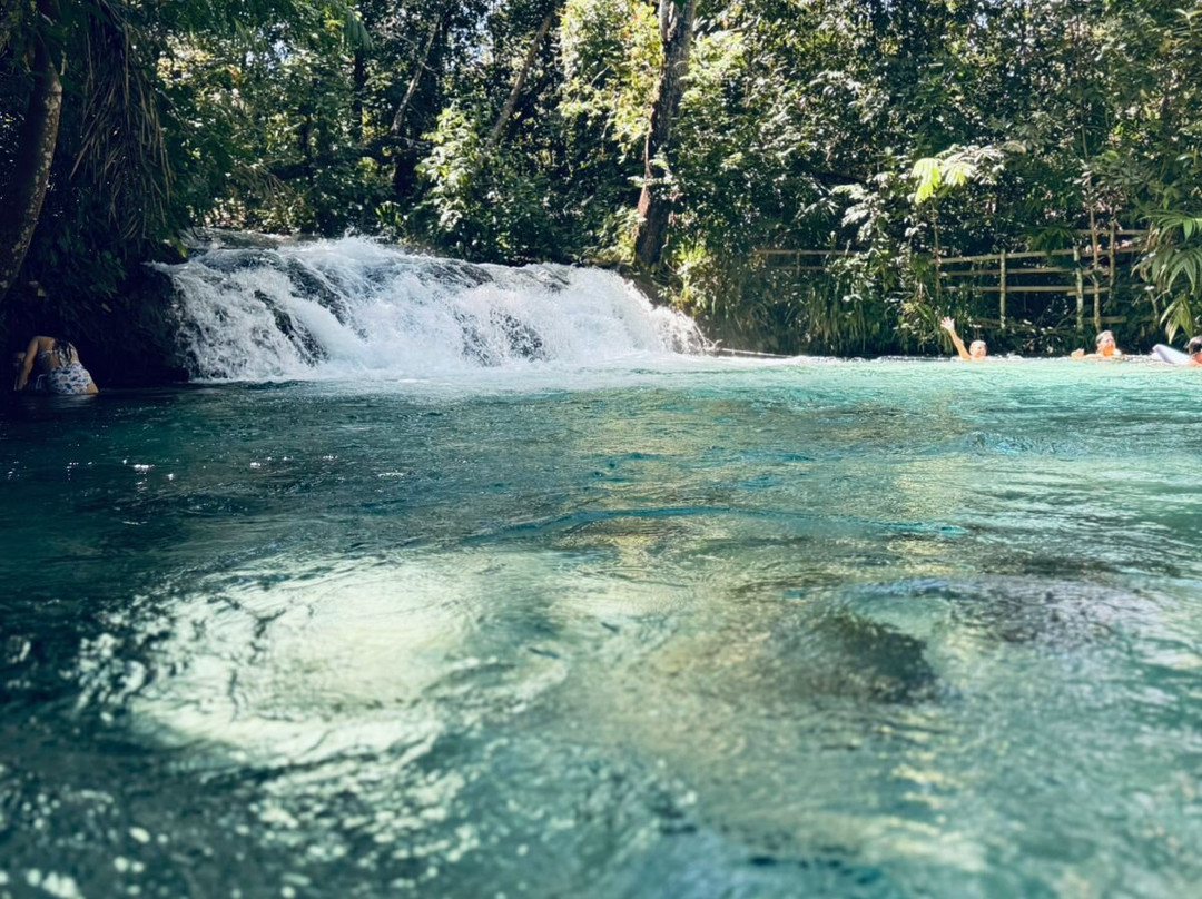Conexão Cerrado - Turismo e Preservação-Palmas必去景点
