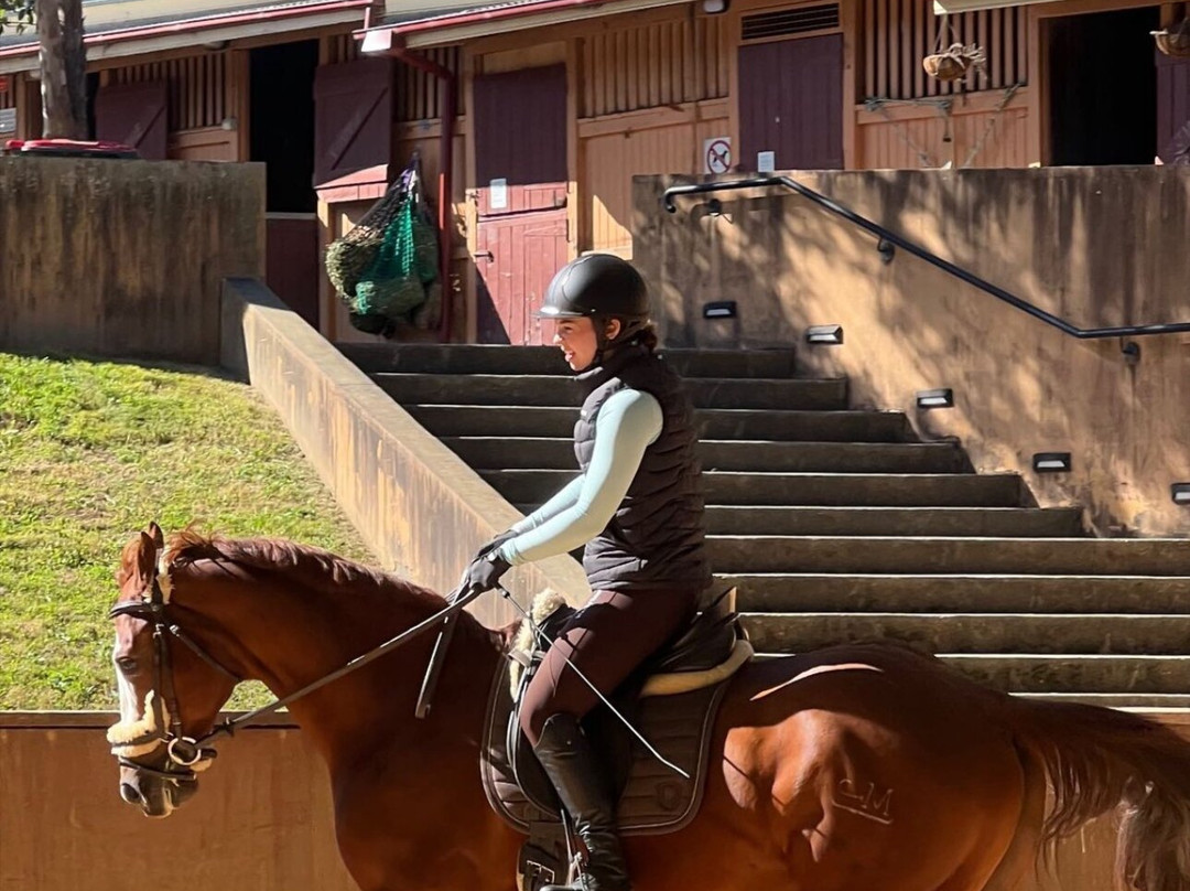 Papillon Riding Stables-悉尼必去景点