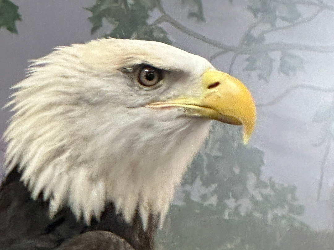 National Eagle Center景点图片