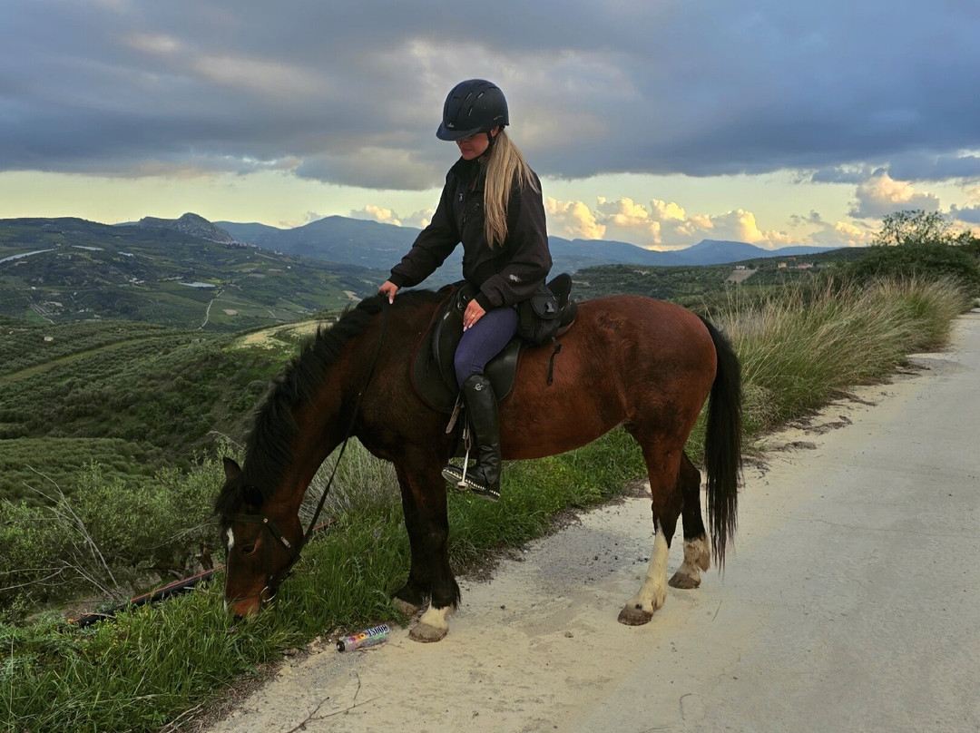 Finikia Horseriding景点图片