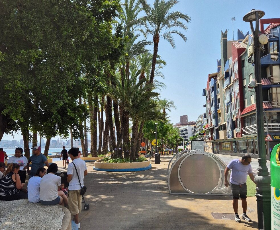 Parc d'Elx-贝尼多姆必去景点