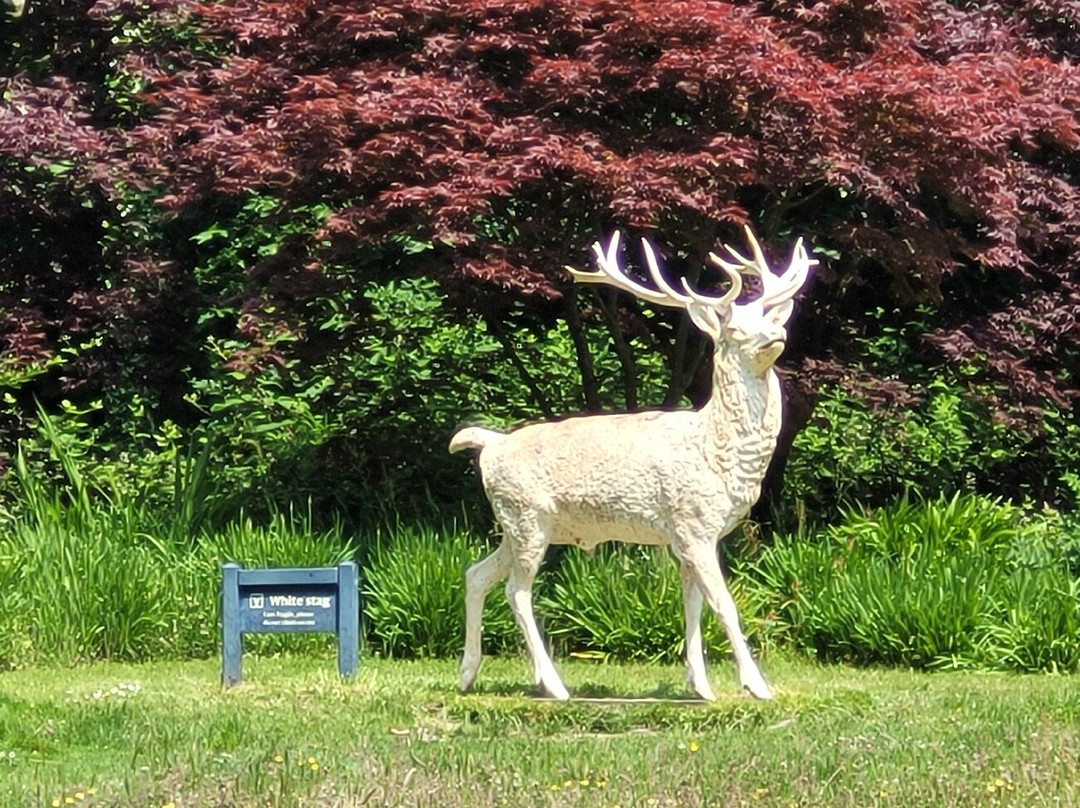 Mount Stewart-Newtownards必去景点