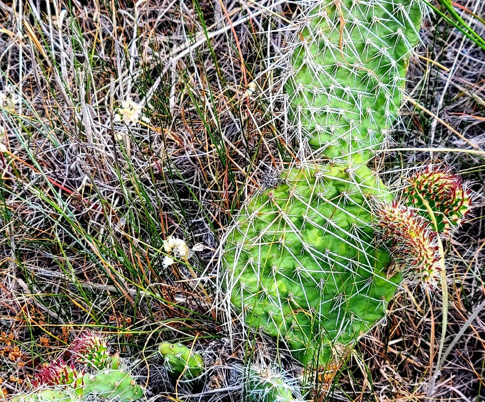 Saskatchewan Landing Provincial Park-Stewart Valley必去景点
