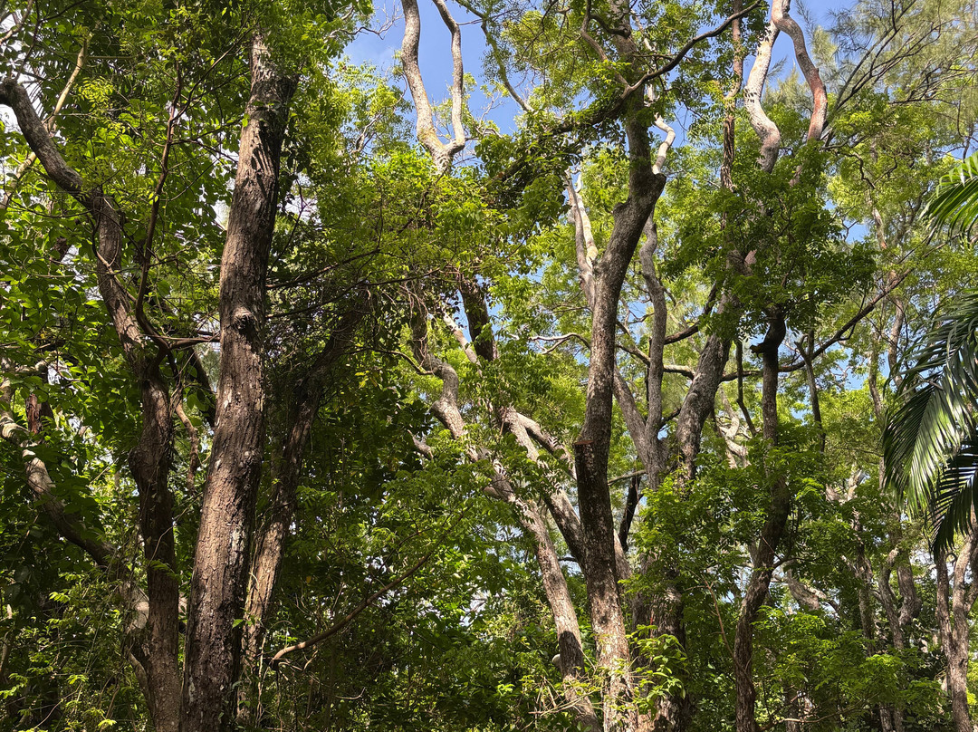 Walkers Reserve-布里奇顿必去景点