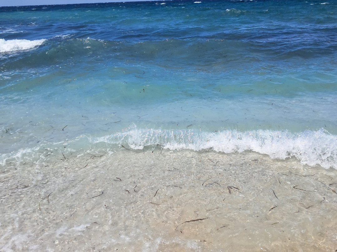 白沙角海滩景点图片