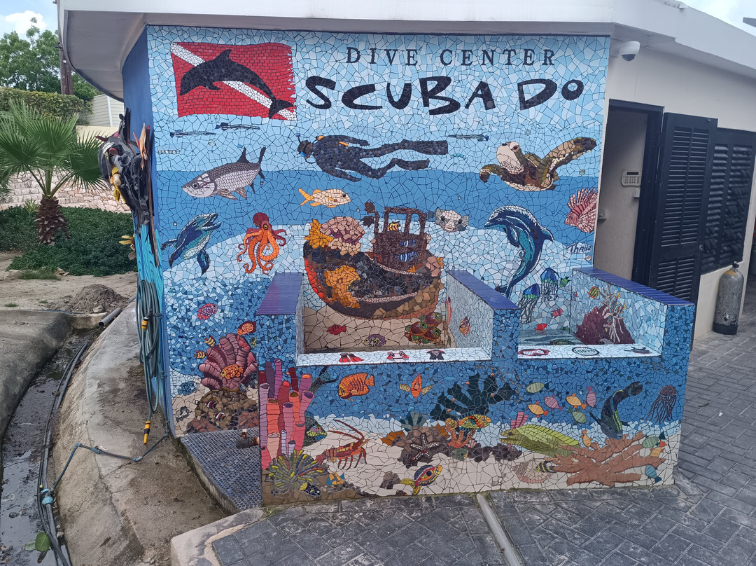Dive Center Scuba Do-威廉斯塔德必去景点