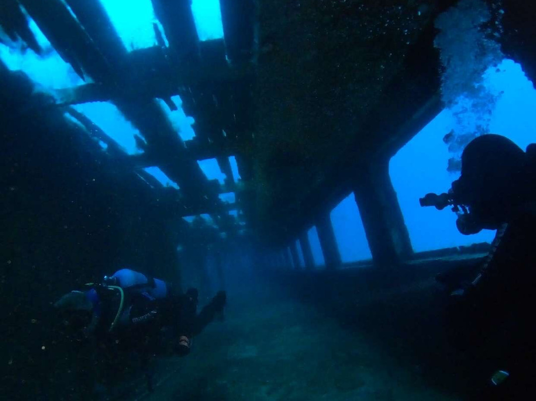 Bubbles Dive Centre-Marsalforn必去景点