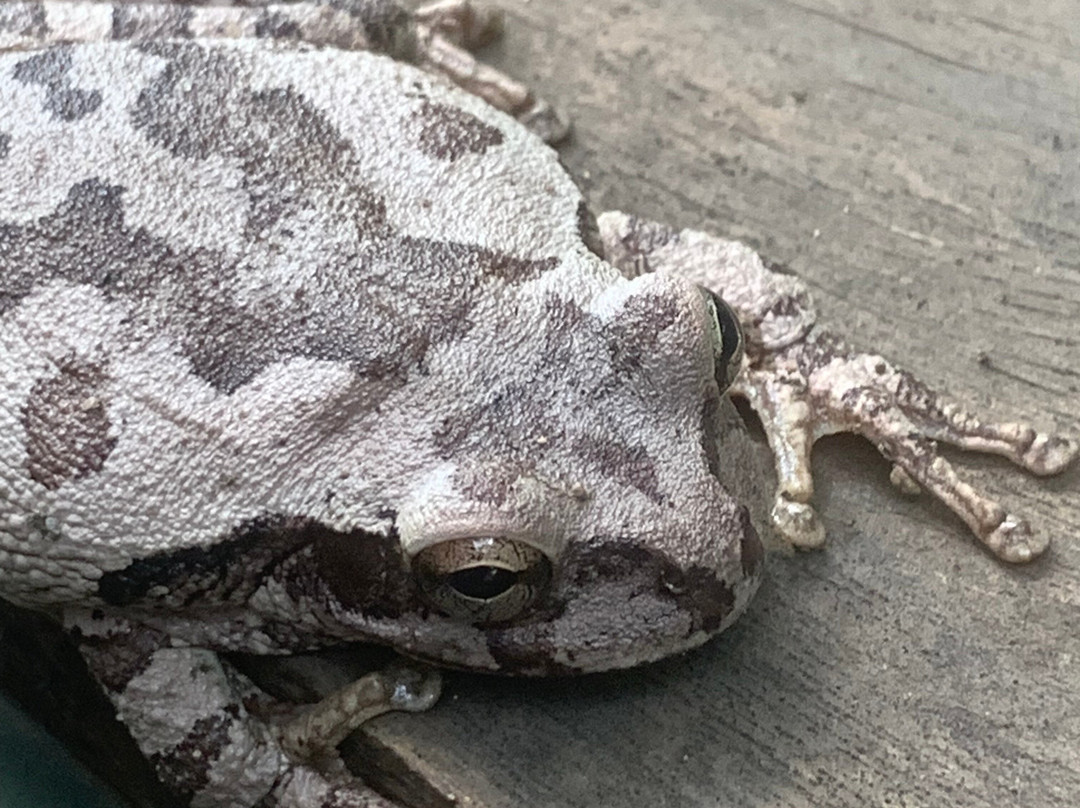 Fayla Tours Costa Rica-萨迪纳尔必去景点