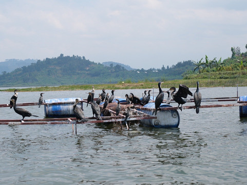 Nature Trails East Africa-恩德培必去景点