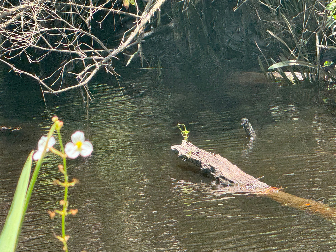 J.F. Gregory Park-里士满希尔必去景点