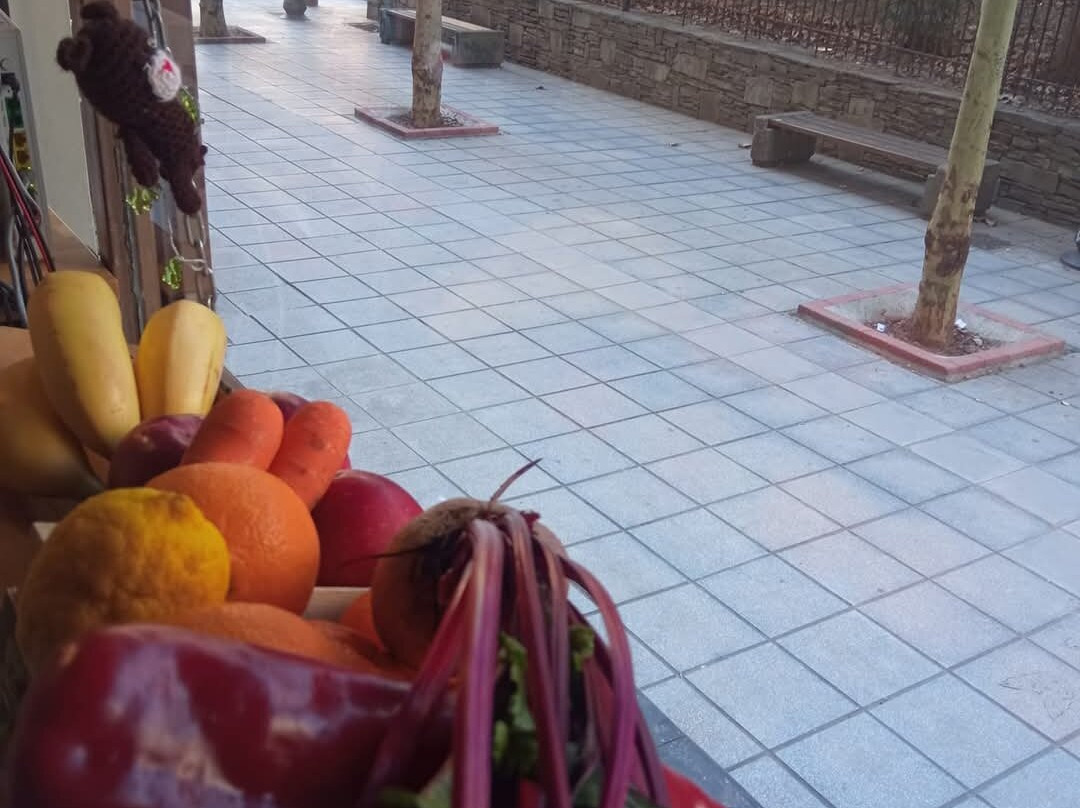 She-塞萨洛尼基必去景点