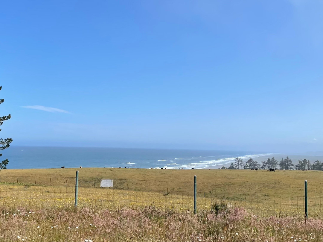 Redwood Suites主图