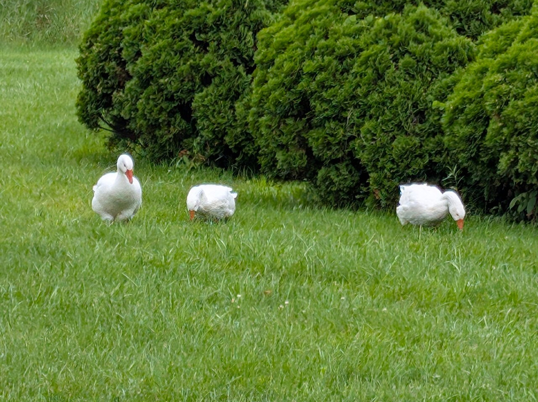 The Winery at Sovereign Estate-Waconia必去景点