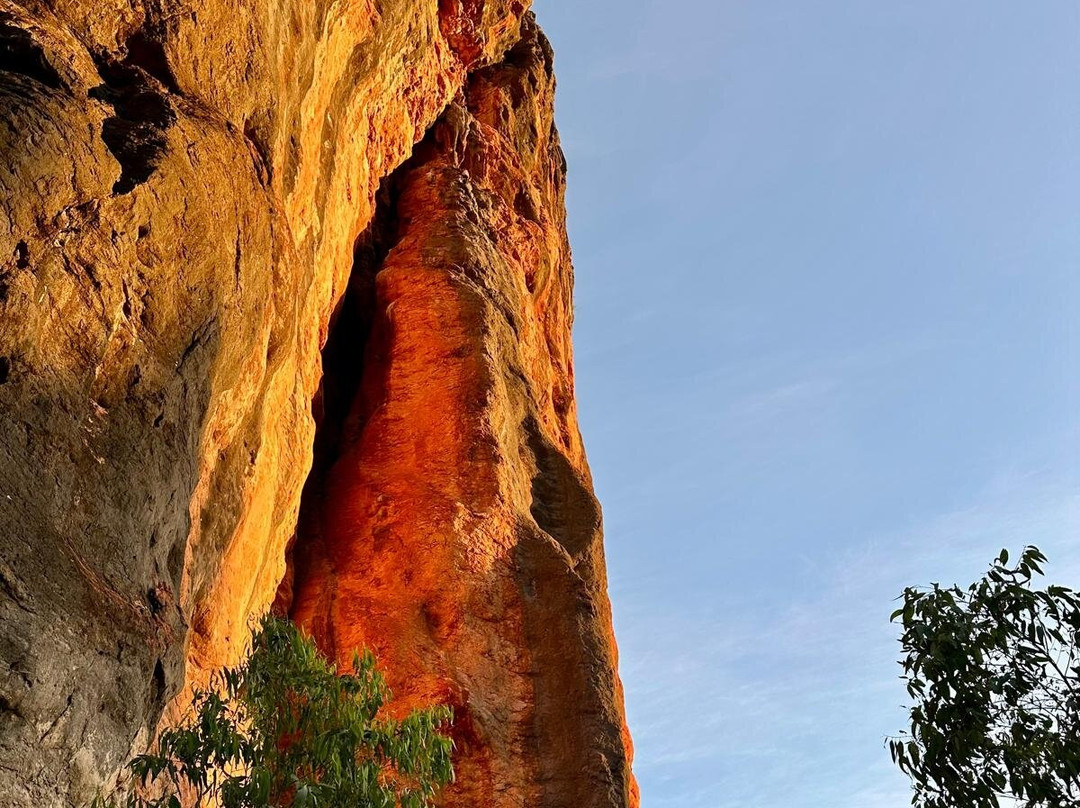 Kimberley Safari Tours景点图片