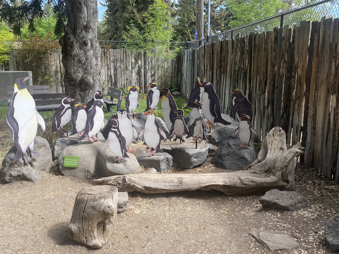 Idaho Falls Zoo-爱达荷福尔斯必去景点