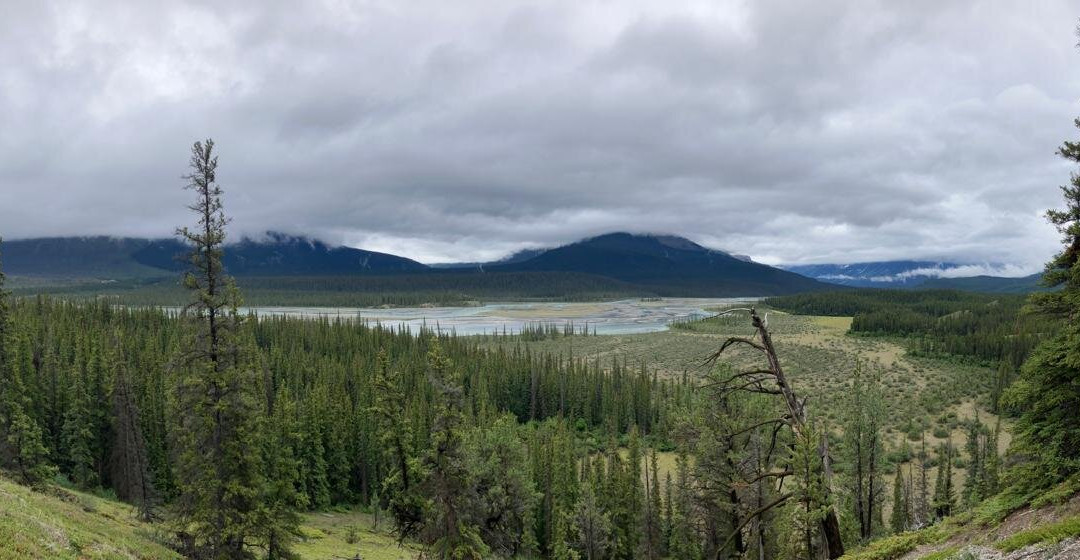 Timberwolf Tours-埃德蒙顿必去景点