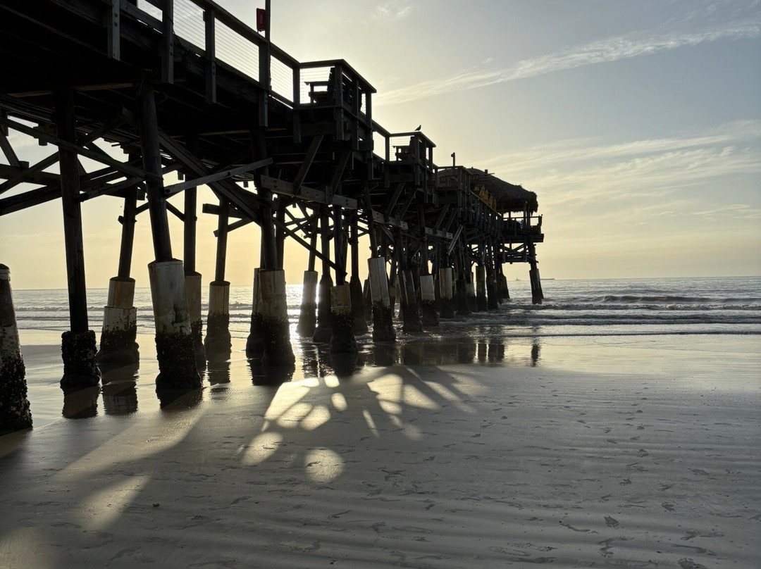Rikki Tiki Tavern-可可海滩必去景点