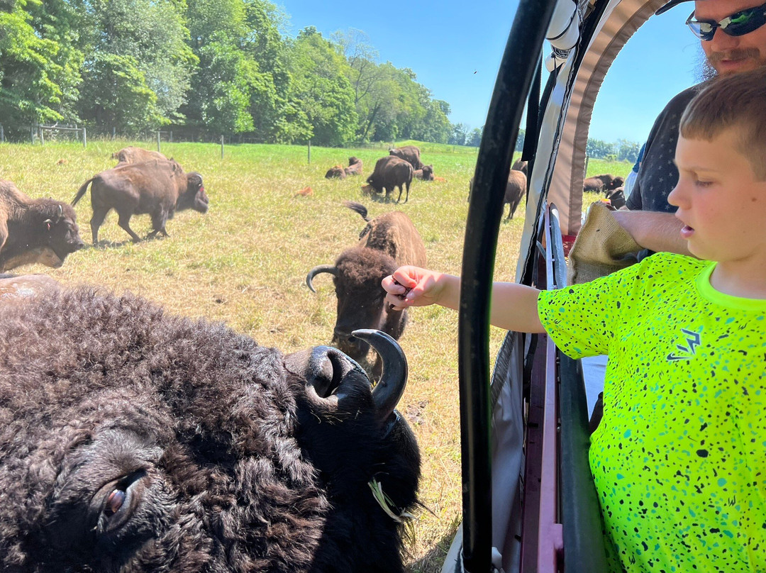 Cook's Bison Ranch-Wolcottville必去景点